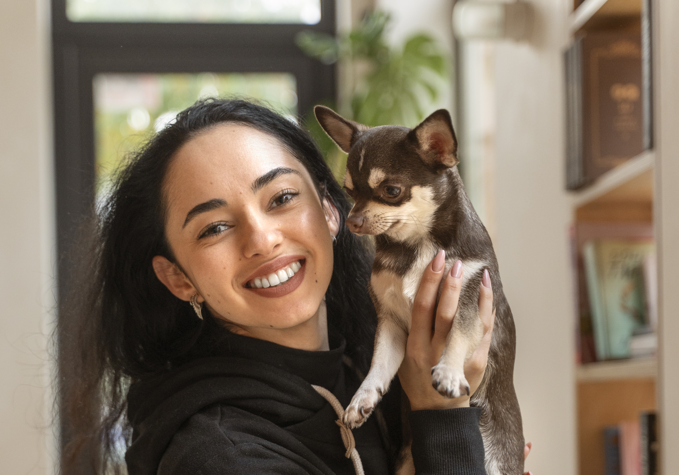 adorable-chihuahua-dog-with-female-owner2