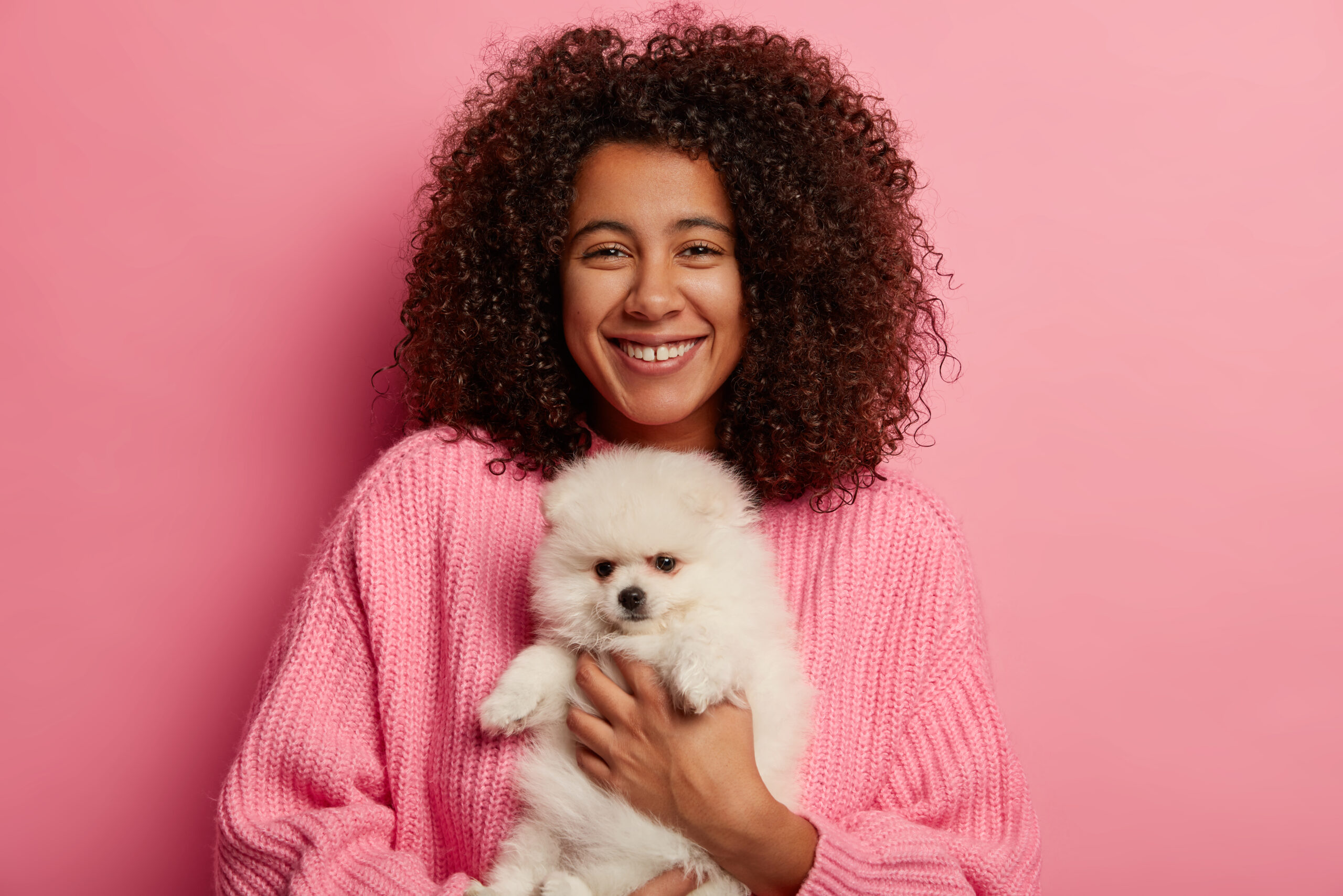 Positive African American woman poses with fluffy spitz on hands, petting dog, has glad expression to adopt domestic animal, wears knitted sweater, isolated over pink background. Time with pets